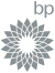 logo-customer-bp-grey_sltkn1.svg fill